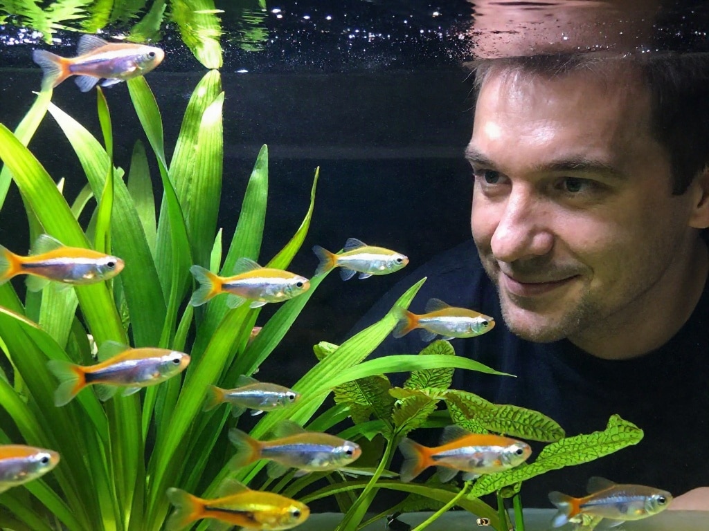 Platy Haltung